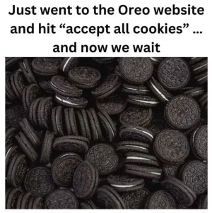 1755030432639.png
