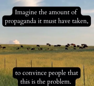 1755192589989.png