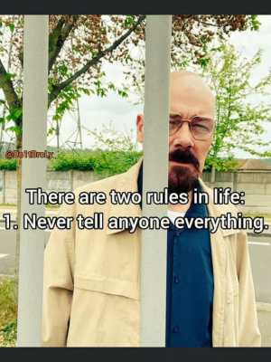 1755196460319.png