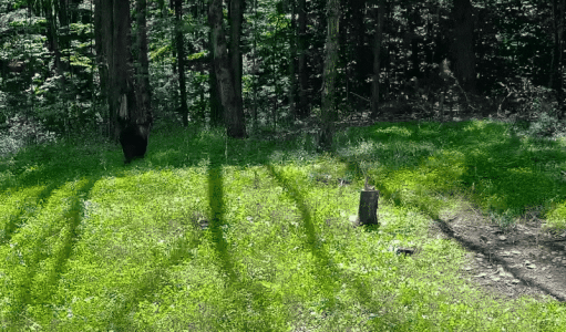 ezgif-446649db27d37f.gif