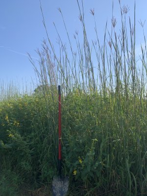 IMG_5698.jpeg