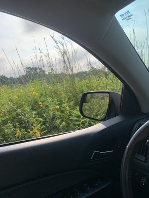 IMG_5684.jpeg
