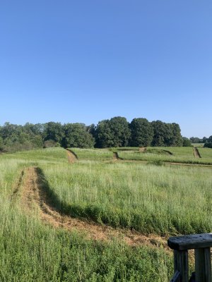 IMG_5693.jpeg