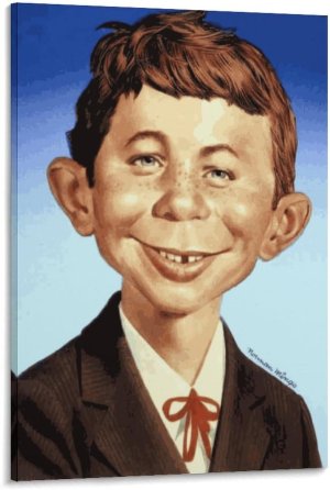 alfred e. nueman.jpeg