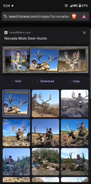 Screenshot_20250818-112433.Brave~2.png