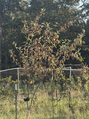 IMG_5074.jpeg