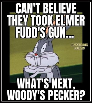 FB_IMG_1755623645061.jpg