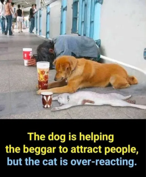1755627588425.png