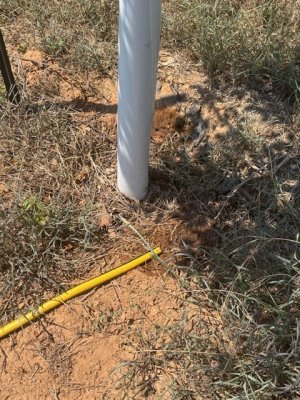 watering.jpg
