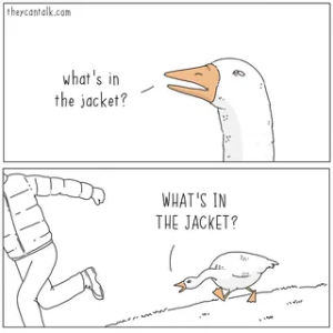 1755721585920.png