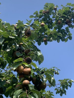 IMG_5712.jpeg