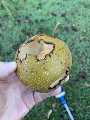 IMG_5706.jpeg
