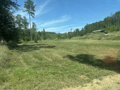 IMG_6853.jpeg