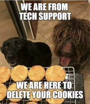 1756515243871.png