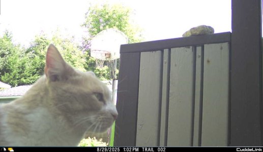 IMG_1802270760.jpg
