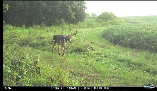 IMG_1545.jpeg