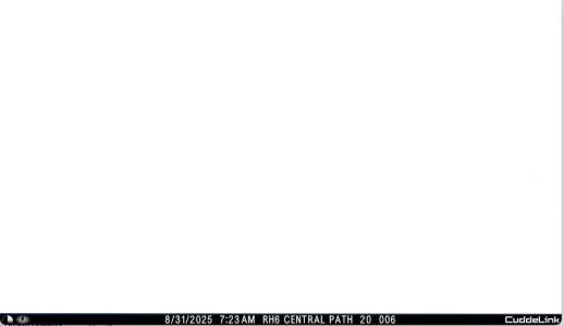 Screenshot 2025-08-31 at 12.51.57 PM.png