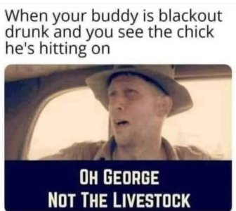 FB_IMG_1756803032974.jpg