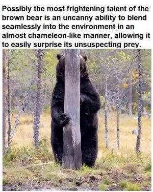 FB_IMG_1757179328401.jpg