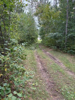 IMG_3130.JPG IMG_3130.JPG