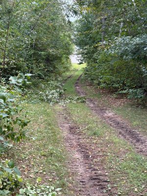IMG_3131.JPG IMG_3131.JPG