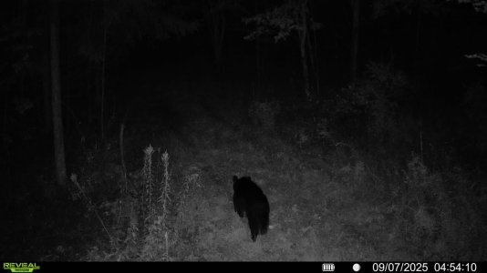 trail.jpg