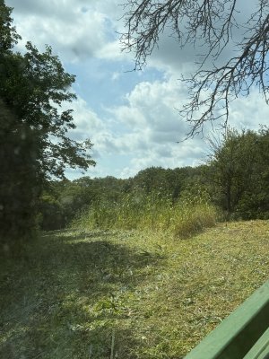 IMG_0474.jpeg