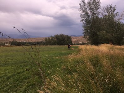 IMG_3165.jpeg