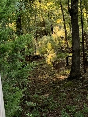 IMG_5772.jpeg