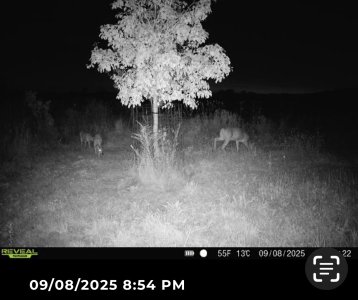 IMG_9767.jpeg