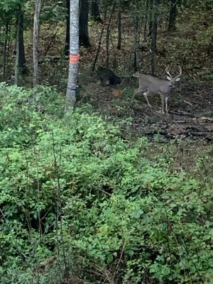 IMG_5776.jpeg