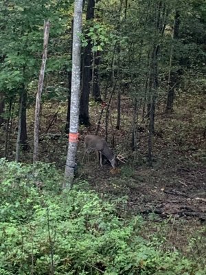 IMG_5773.jpeg