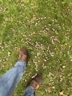 IMG_6010.JPEG