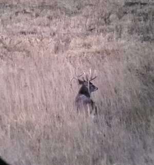 IMG_1736.jpeg