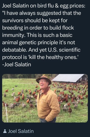 1757698265001.png
