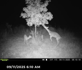 IMG_9778.jpeg