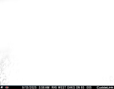 IMG_1564.jpeg