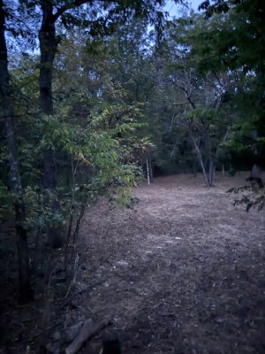IMG_7405.jpeg