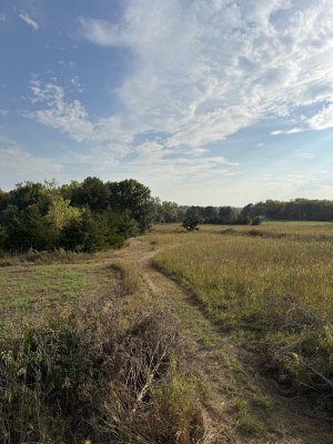 IMG_7419.jpeg