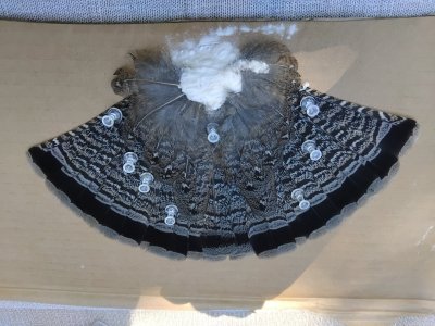 IMG_20250916_181230.jpg