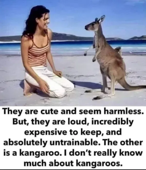 1758051720242.png