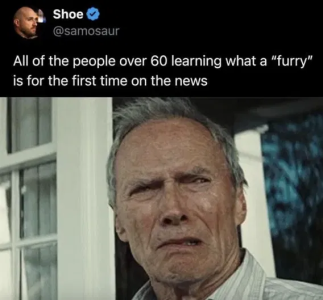 1758127505158.png