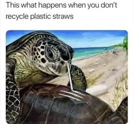1758128368447.png