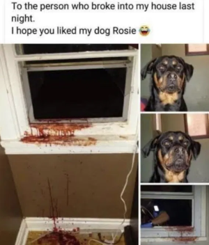 1758214349706.png