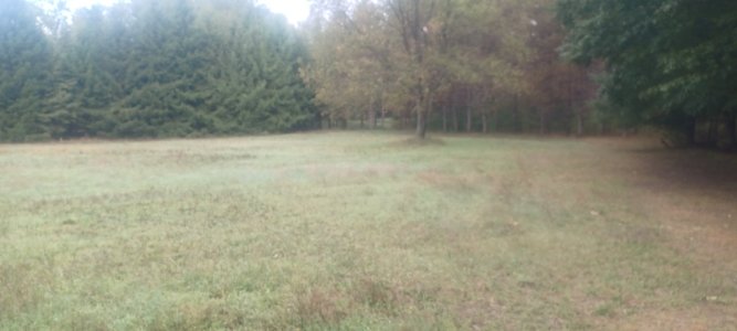 20250919_092834.jpg
