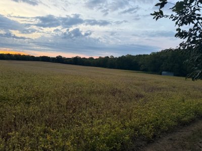 IMG_7446.jpeg