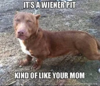 FB_IMG_1758314570881.jpg
