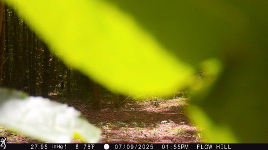 IMG_0142.JPG