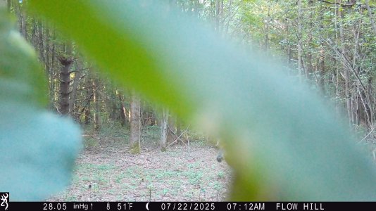 IMG_0370.JPG