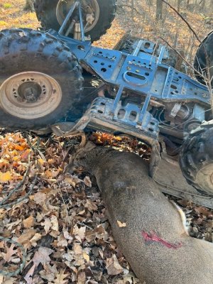 polaris buck.JPG